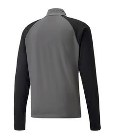 Rückansicht von PUMA teamLIGA HalfZip Sweatshirt Funktionssweatshirt Herren grauschwarz