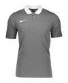 Nike Park 20 Poloshirt Poloshirt Herren - grauweiss