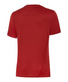 Rückansicht von PUMA Galatasaray Istanbul T-Shirt Fanshirt rotorange