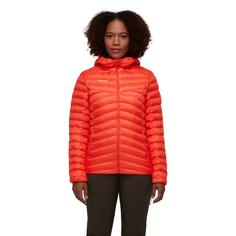 Rückansicht von Mammut Albula Hooded Kunstfaserjacke Damen peach