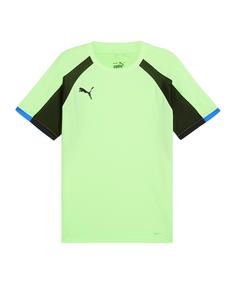 PUMA IndividualLiga Trikot Fußballtrikot Herren gruen