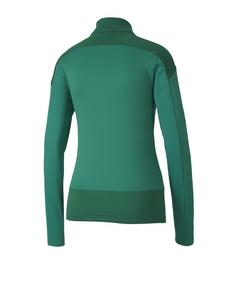 Rückansicht von PUMA teamGOAL 23 1/4 Zip Top Damen Funktionssweatshirt Damen Gruen