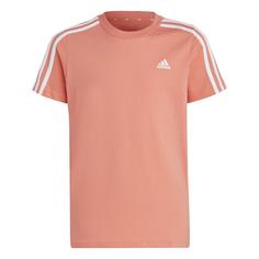 adidas Essentials 3-Streifen Cotton T-Shirt T-Shirt Kinder Semi Coral Fusion / White