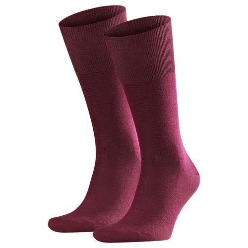 Rückansicht von Falke Socken Socken Herren Barolo (8596)