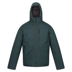 Regatta Colehurst Winterjacke Herren Green Gables