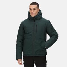 Rückansicht von Regatta Colehurst Winterjacke Herren Green Gables