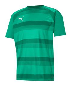 PUMA teamVISION Trikot Fußballtrikot Herren gruengruenweiss