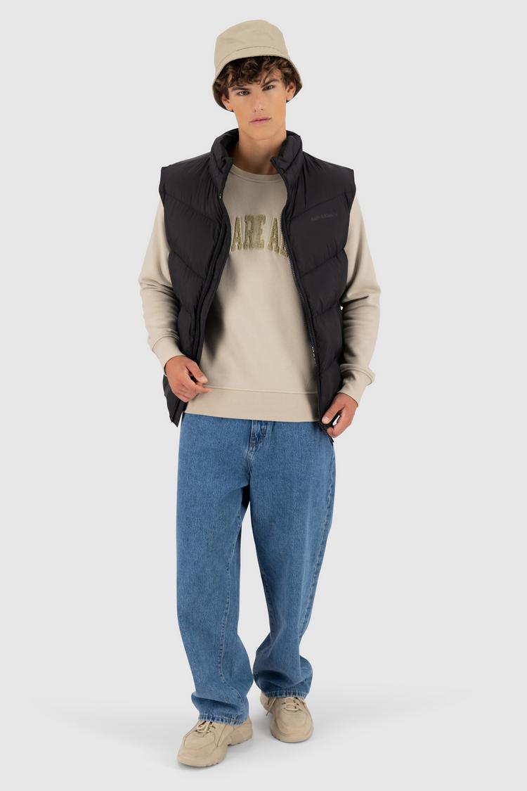ALIFE AND KICKIN ALIFE AND KICKIN LevinAK A Sweatshirt Herren - pumice - 4 | SportScheck