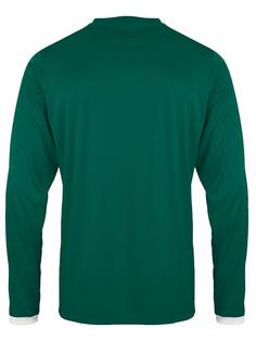 Rückansicht von hummel CORE LS POLY JERSEY Funktionsshirt Kinder EVERGREEN PR