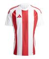 adidas Striped 24 Trikot Trikot Herren - weissrot
