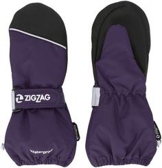 ZigZag Shildon Skihandschuhe Kinder 4149 Purple Pennant