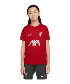 Nike FC Liverpool Academy Trainingshirt Kids Fanshirt Kinder rotweiss