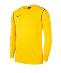 Nike Park 20 Training Sweatshirt Funktionssweatshirt Herren - gelb