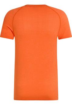 Rückansicht von Odlo ESSENTIAL SEAMLESS Funktionsshirt Herren oriole melange(30884)