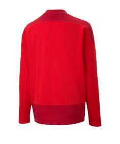 Rückansicht von PUMA teamGOAL 23 Training Sweatshirt Kids Funktionssweatshirt Kinder rot