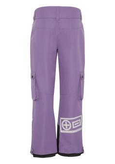 Rückansicht von Chiemsee Skihose Skihose Kinder 18-3513 Grape Compote