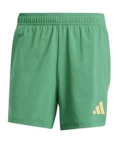 adidas Tiro 24 Pro Tight Torwarthose Torwarthose Herren gruen