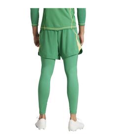 Rückansicht von adidas Tiro 24 Pro Tight Torwarthose Torwarthose Herren gruen