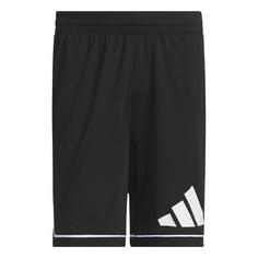 adidas adidas Basketball Badge of Sport Shorts Basketball-Shorts Herren Black / White