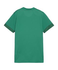 Rückansicht von PUMA teamGOAL Matchday Trikot Damen Fußballtrikot Damen gruenweiss