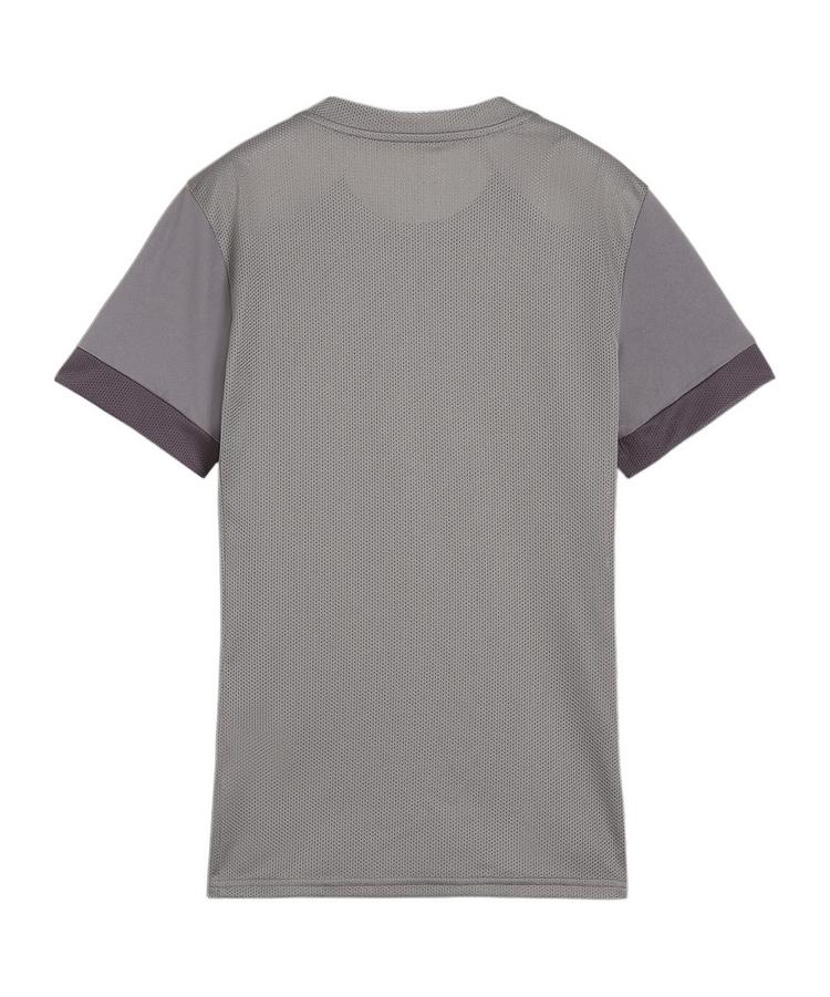 PUMA PUMA teamGOAL Matchday Trikot Damen Trikot Damen - grauweiss - 0 | SportScheck