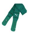 PUMA Socken Socken Herren - gruenweissgruen