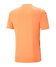 Rückansicht von PUMA teamULTIMATE Trikot Fußballtrikot Herren orange