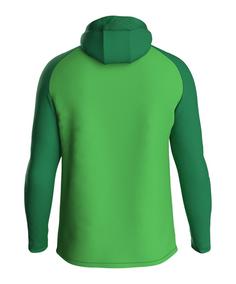Rückansicht von JAKO Iconic Kapuzenjacke Kids Trainingsjacke Kinder gruen