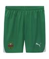 PUMA SK Rapid Short Home 2024/2025 Fu&szlig;ballshorts - gruen
