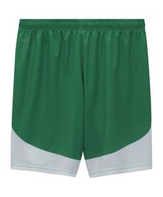 Rückansicht von PUMA SK Rapid Short Home 2024/2025 Fußballshorts gruen