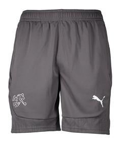 PUMA Schweiz Trainingsshort EM 2024 Fußballshorts grau