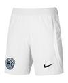 Nike Slowenien Short Away EM 2024 Fu&szlig;ballshorts - weissweiss