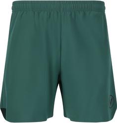 Virtus Spier Shorts Herren 3200 Sea Moss