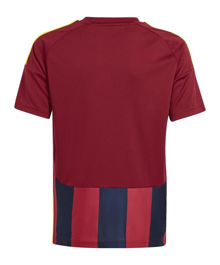 adidas adidas Striped 24 Trikot Kids Trikot Kinder - blaugelb - 0 | SportScheck