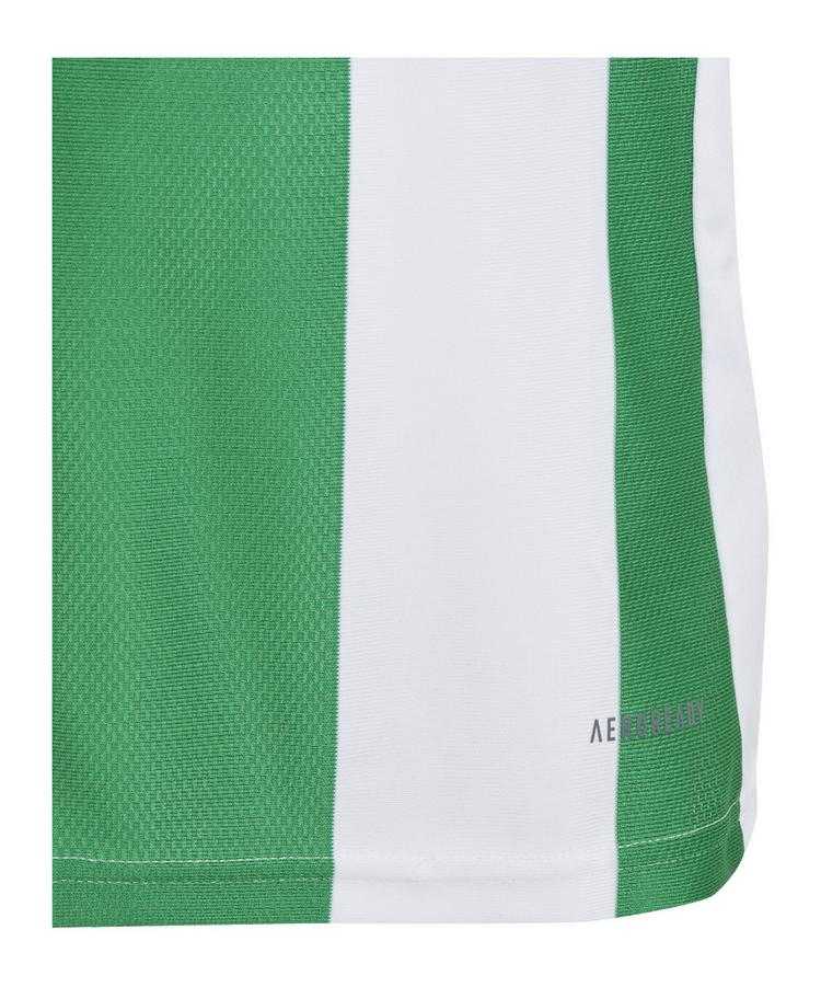 adidas adidas Striped 24 Trikot Kids Trikot Kinder - weissgruen - 0 | SportScheck