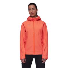 Rückansicht von Mammut Alto Light HS Hooded Hardshelljacke Damen peach