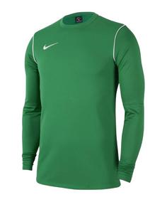 Nike Park 20 Sweatshirt Funktionssweatshirt Herren gruenweissweiss