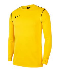 Nike Park 20 Sweatshirt Funktionssweatshirt Herren gelbschwarzschwarz