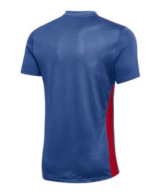 Rückansicht von Nike Park Derby IV Trikot Fußballtrikot Herren blaurotweiss