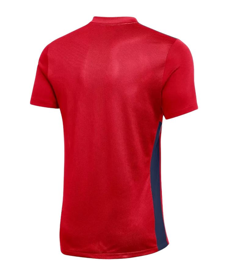 Nike Nike Park Derby IV Trikot Trikot Herren - rotblau - 0 | SportScheck