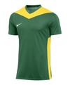 Nike Park Derby IV Trikot Trikot Herren - gruengelbweiss