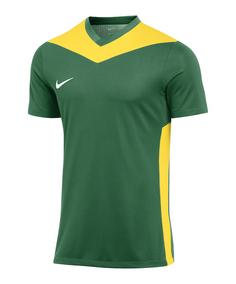 Nike Park Derby IV Trikot Fußballtrikot Herren gruengelbweiss