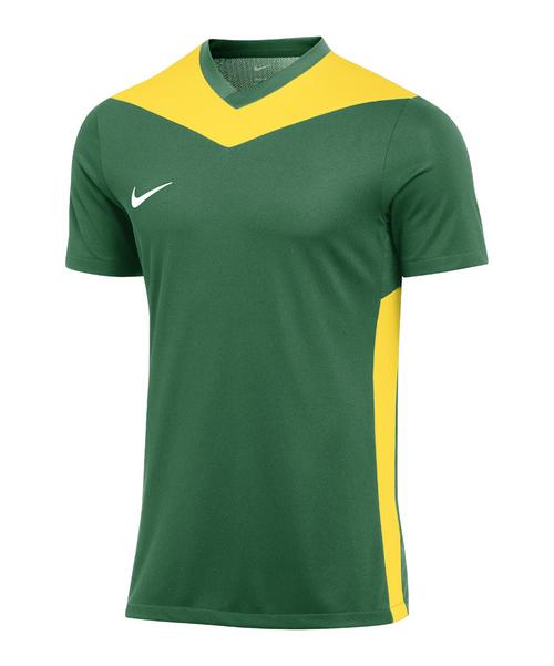 Nike Park Derby IV Trikot Trikot Herren