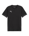 PUMA teamGOAL Matchday Trikot Trikot Herren - schwarzweiss