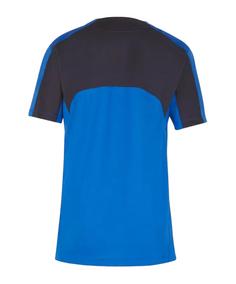 Rückansicht von Nike Team Court Trikot Kids Fußballtrikot Kinder blauschwarz