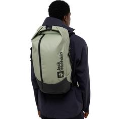 Rückansicht von Jack Wolfskin ALL-IN PACK 30 Wanderrucksack mint leaf