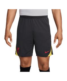 Nike FC Liverpool Strike Short 3rd Fußballshorts graugelb