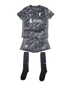 Nike FC Liverpool Torwart Minikit 2024/2025 Fußballtrikot Kinder grau