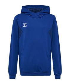 hummel Authentic Pl Hoody Kids Funktionssweatshirt Kinder blau