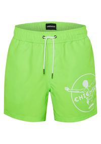 Chiemsee Badeshorts Badehose Herren - Green Gecko